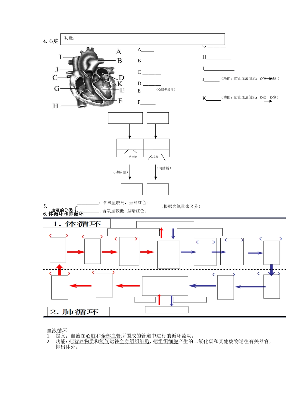 《第四章人体内物质的运输》知识点总结_第2页
