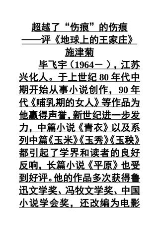 地球上的王家庄评论
