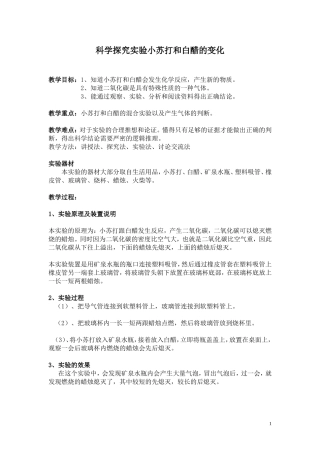 观察小苏打和白醋的变化