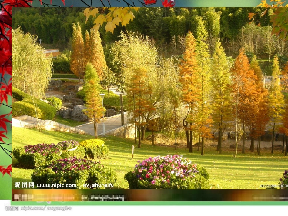 《留住秋天》课件_第2页