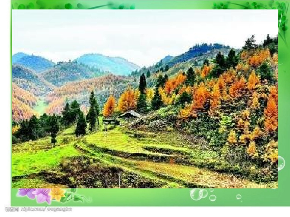 《留住秋天》课件_第3页