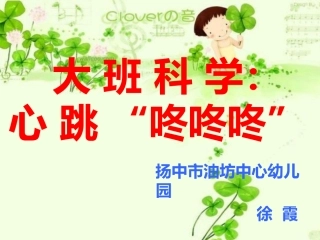 大班科学：心跳咚咚咚