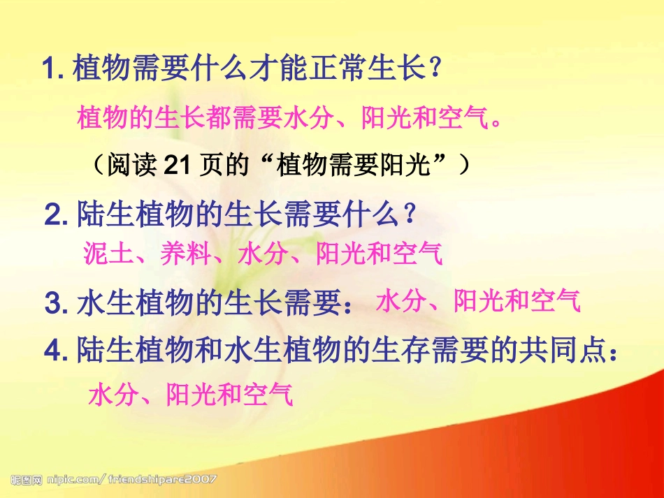 三上植物有哪些相同特点（江艺）_第3页