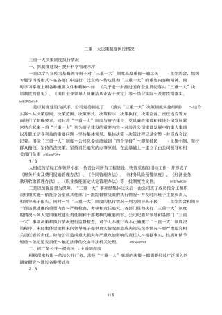 三重一大决策制度执行情况