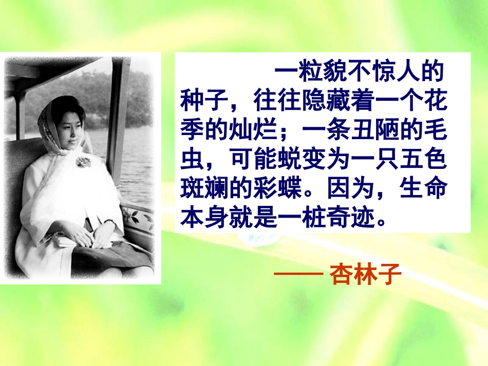 生命生命(高效课堂公开课）_第2页