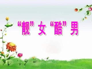 靓女酷男课件