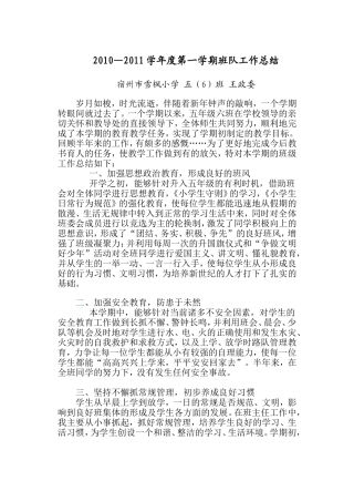 班队总结王政委