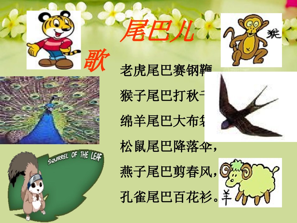 六年级语文下册如果人类也有尾巴课件鄂教版_第1页