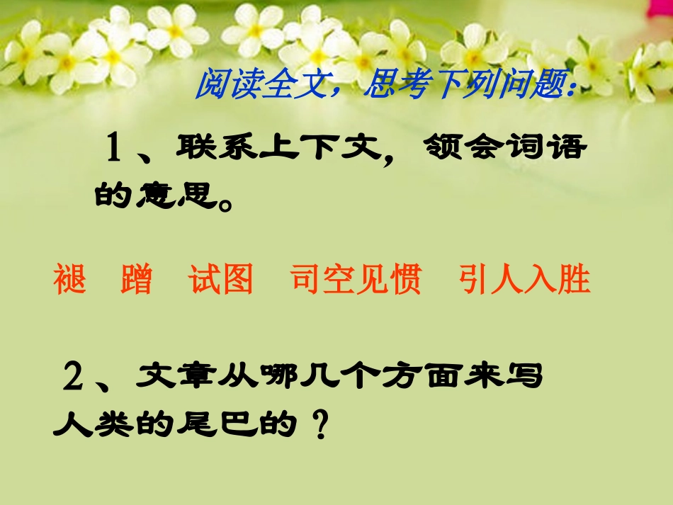 六年级语文下册如果人类也有尾巴课件鄂教版_第3页