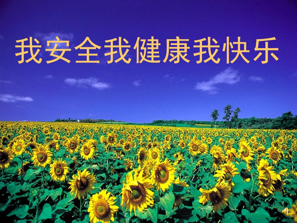 小学一年级《安全伴我行》主题_第1页