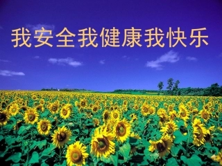 小学一年级《安全伴我行》主题