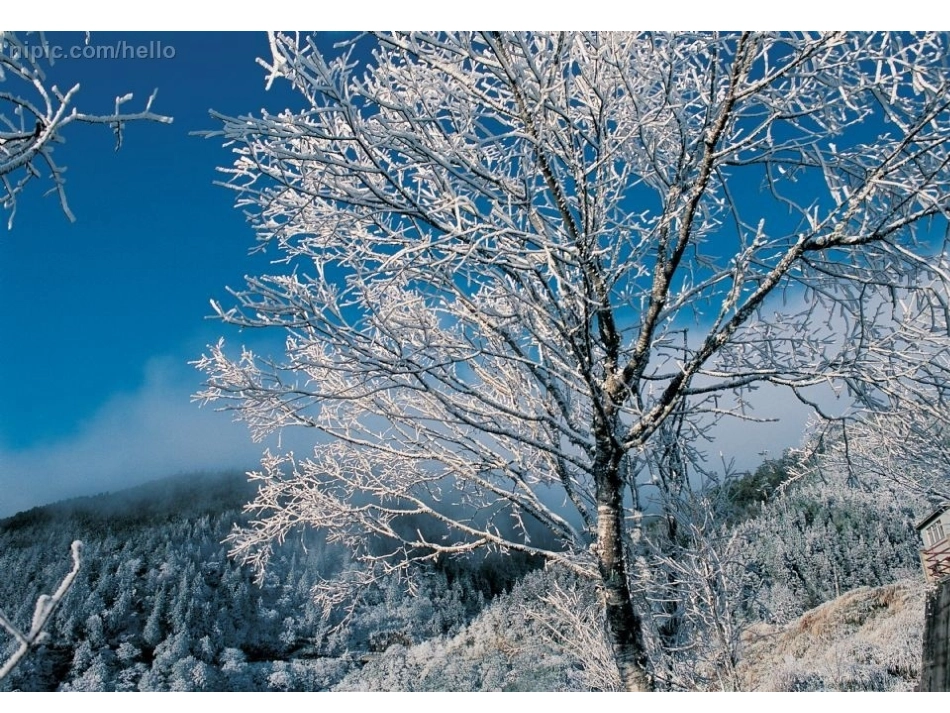 综合：冬爷爷来了_第3页