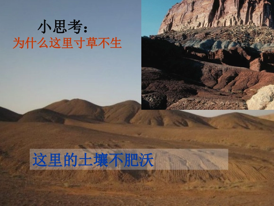 苏教版小学科学三年级下册《肥沃的土壤》课件_第2页