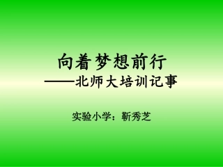 向着梦想前行