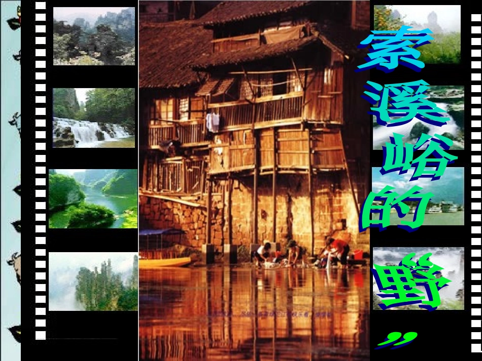 索溪峪的“野”课件_第1页