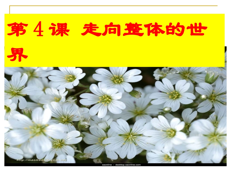 走向世界的市场_第1页