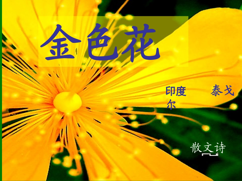 泰戈尔金色花冯_第2页
