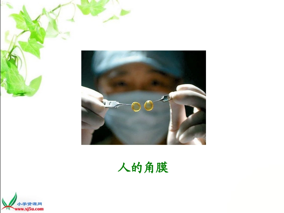 《永生的眼睛》(完整版)_第2页