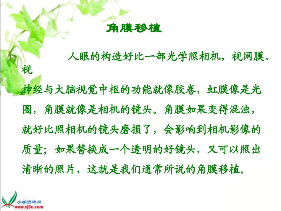 《永生的眼睛》(完整版)_第3页