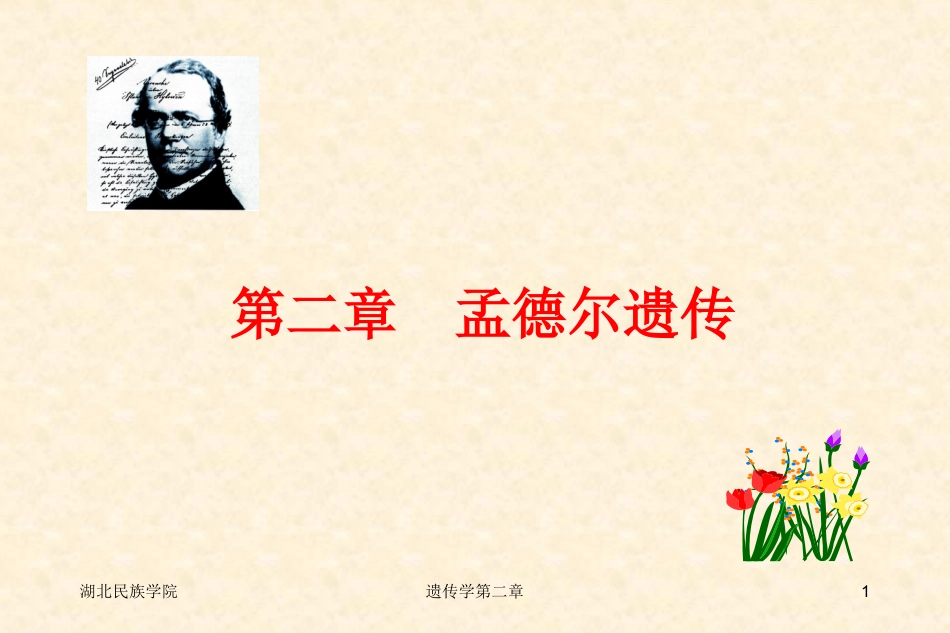 遗传学第二章孟德尔遗传_第1页