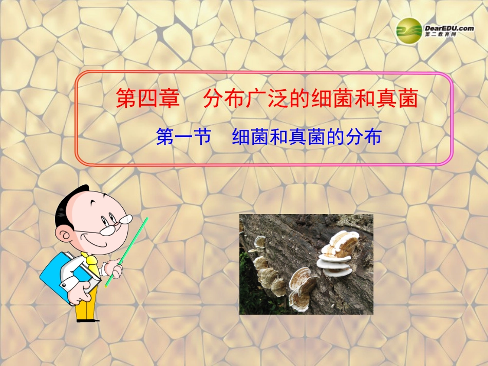 八年级生物上册-第五单元-第四章-第一节-细菌和真菌的分布课件-新人教版_第1页