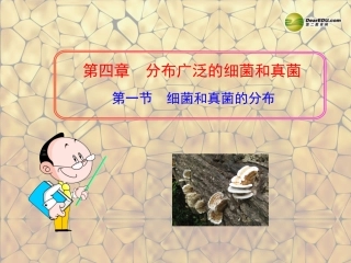 八年级生物上册-第五单元-第四章-第一节-细菌和真菌的分布课件-新人教版