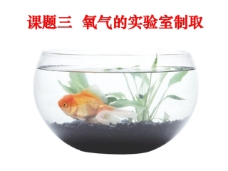 《氧气的实验室制取》