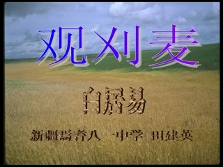 《观刈麦》课件