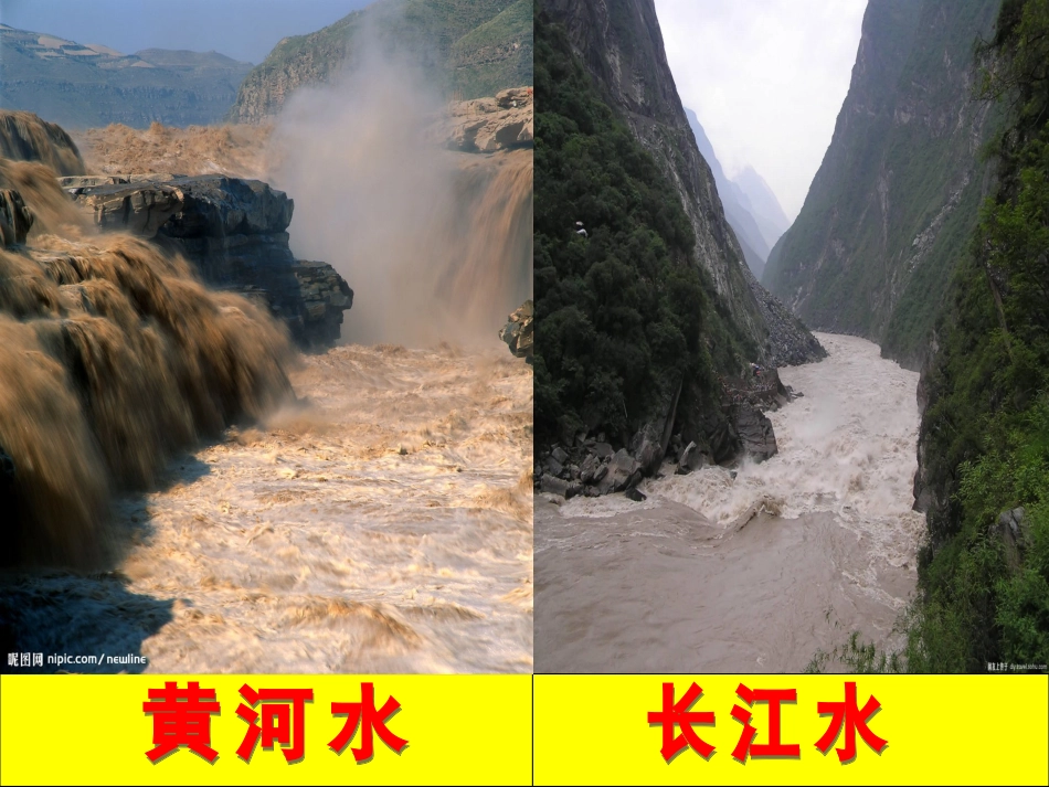 水的净化张钰珺_第3页