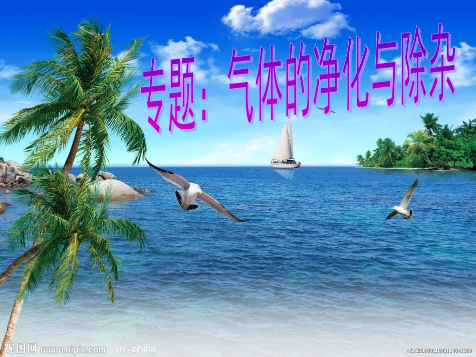 气体的净化与除杂_第1页