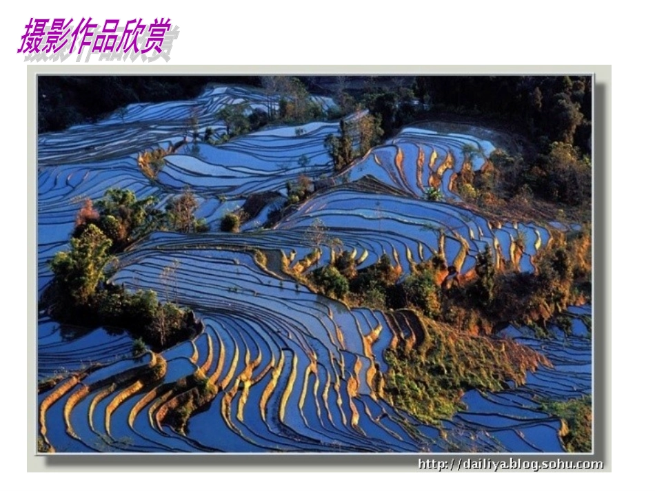 留住美好瞬间_第3页