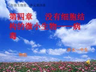 没有细胞结构的微小生物病毒