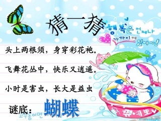 毛毛虫变蝴蝶——大班