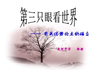 第三只眼看世界