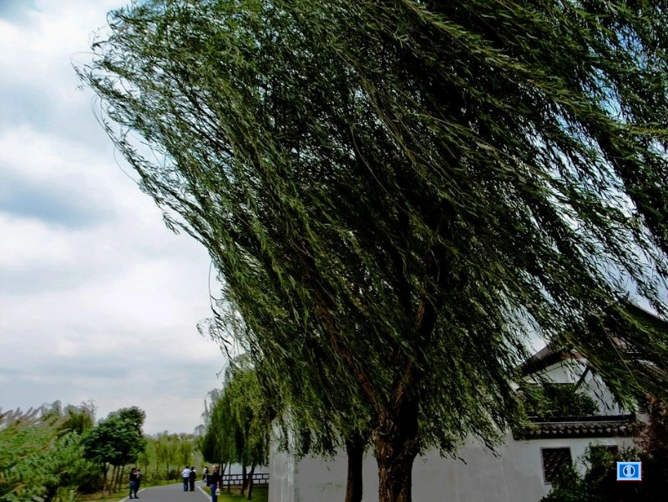 风的秘密课件_第3页