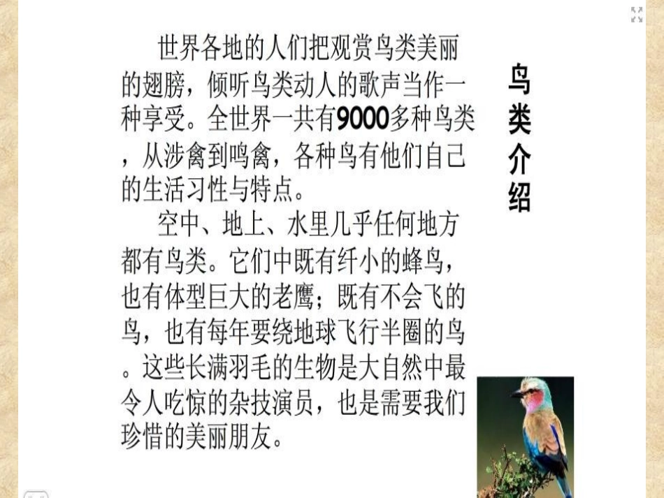 我和小鸟做朋友_第2页
