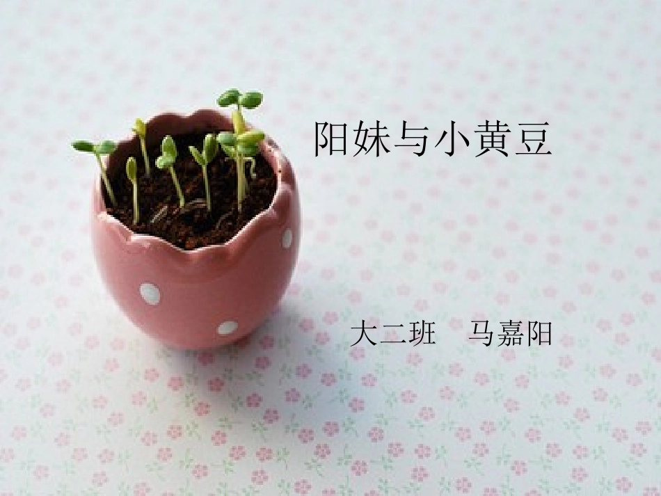 阳妹与小黄豆_第1页