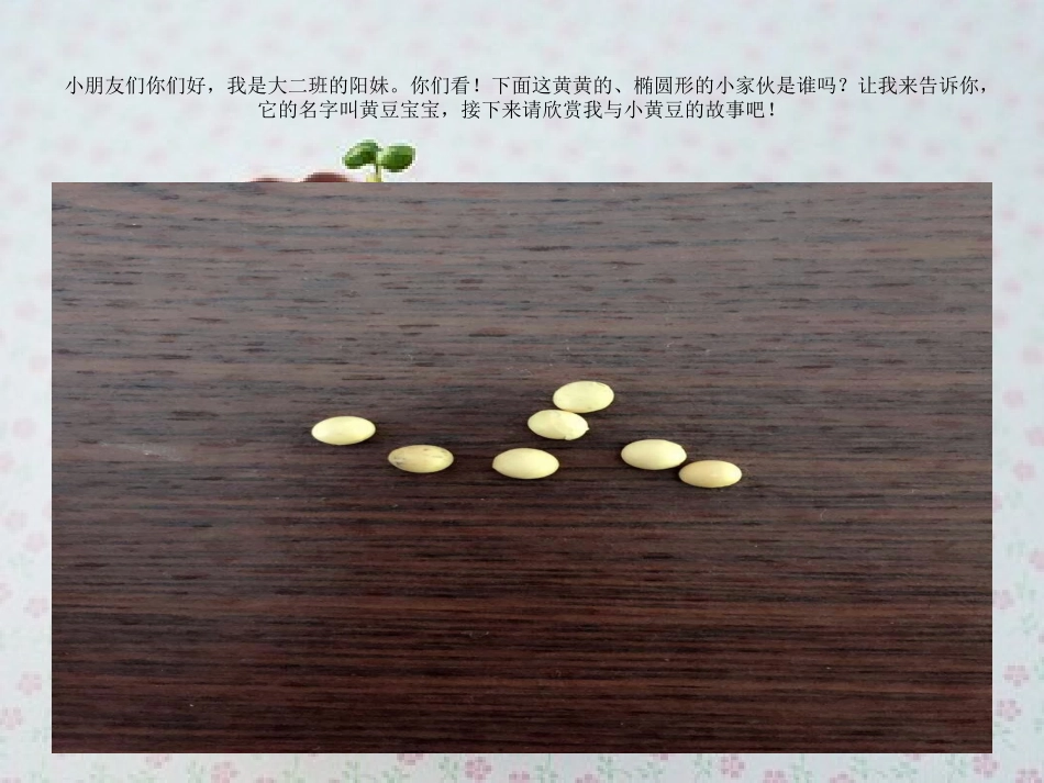 阳妹与小黄豆_第2页