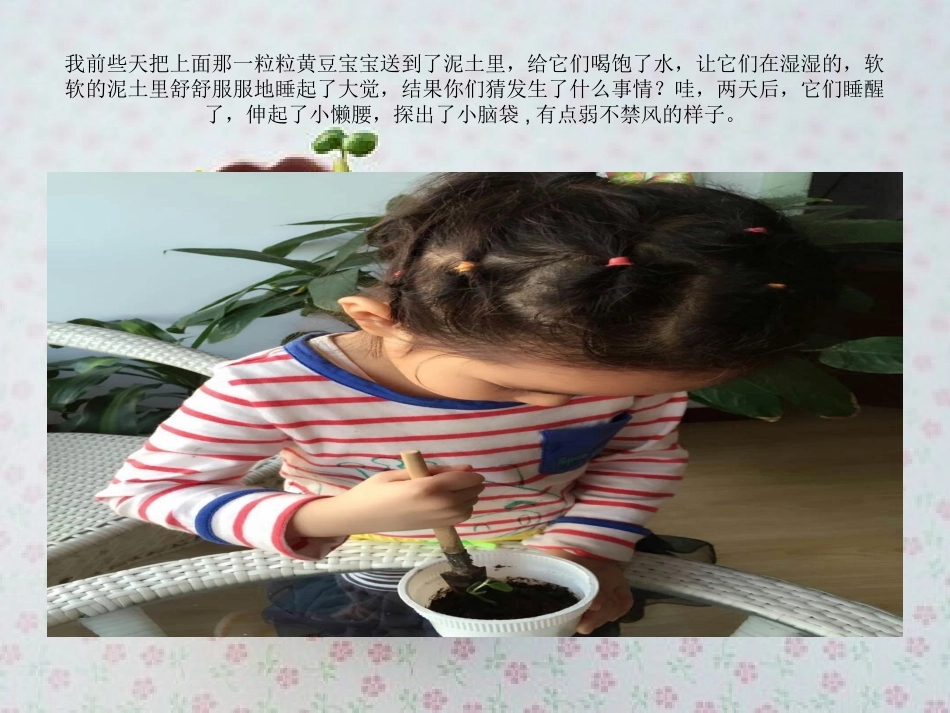 阳妹与小黄豆_第3页
