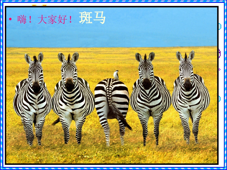 课件动物的花衣裳修正版_第2页