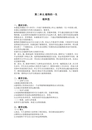 第二单元植物的一生