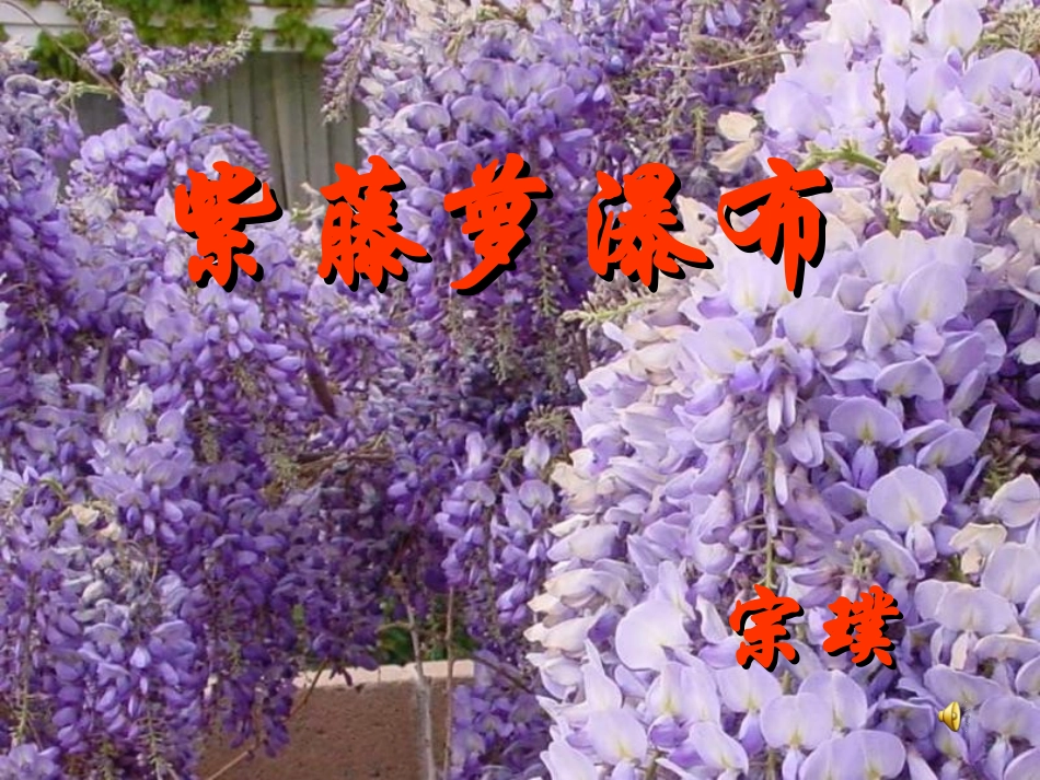 紫藤萝瀑布公开课修改稿_第2页
