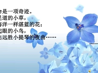紫藤萝瀑布公开课修改稿