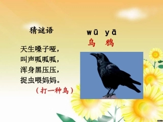 一年级《乌鸦喝水》-
