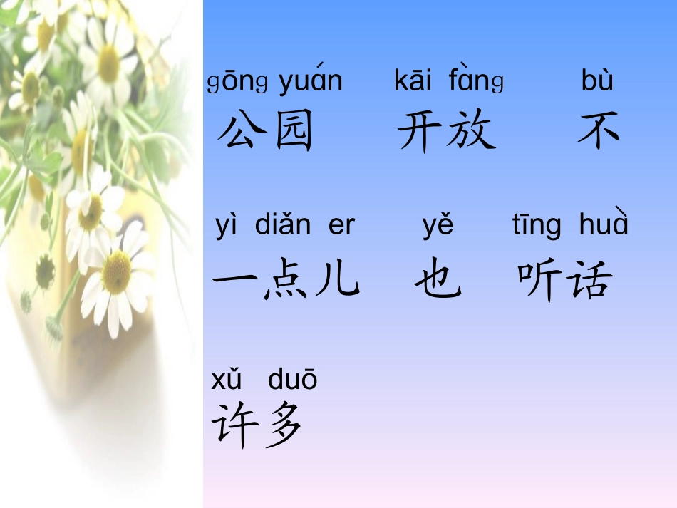一年级《看菊花》课件(孙四妹)_第2页