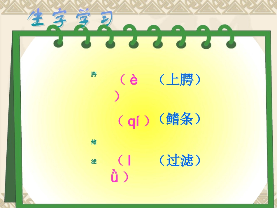 wx人教版五年级语文上册《鲸》课件_第2页