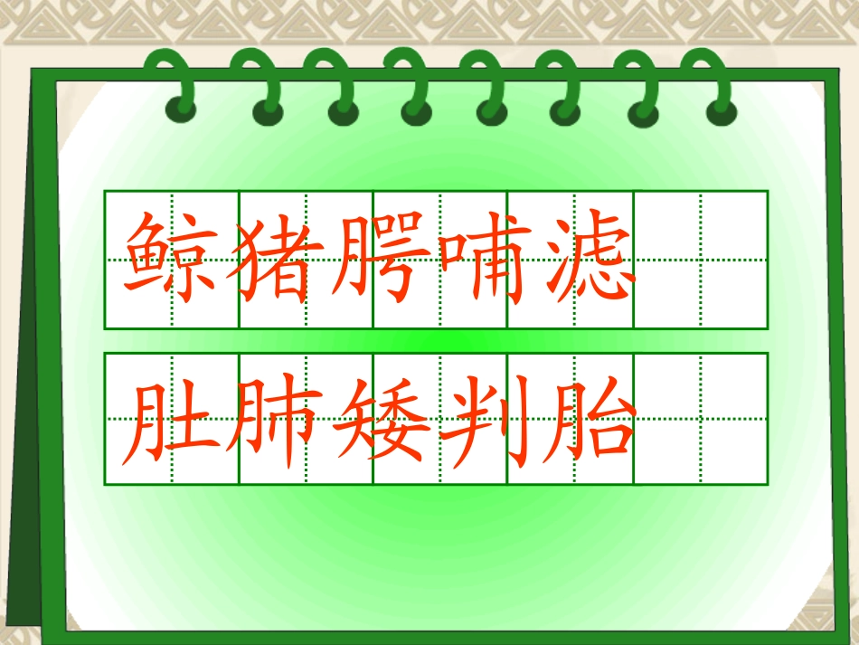 wx人教版五年级语文上册《鲸》课件_第3页