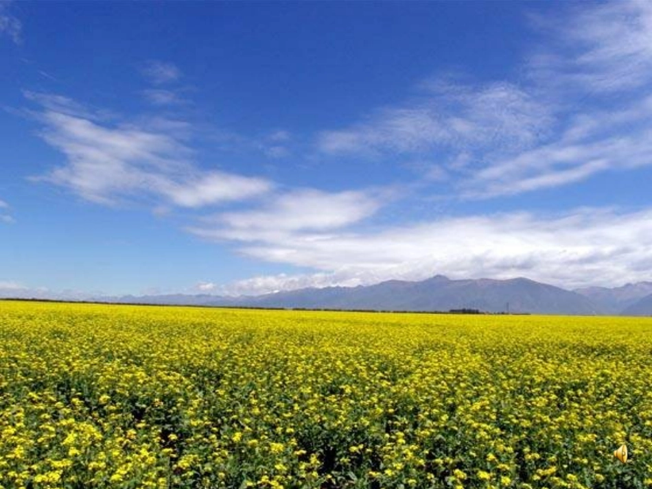 等腰三角形第一课时_第1页