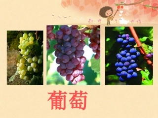 葡萄沟（修定）