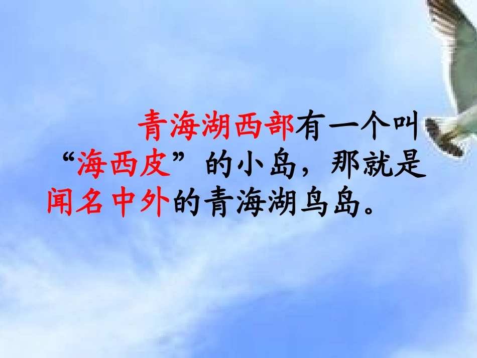 鸟岛_第二课时_第2页